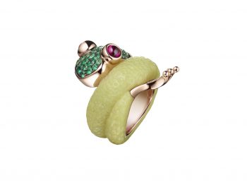 Discover the best animals rings !