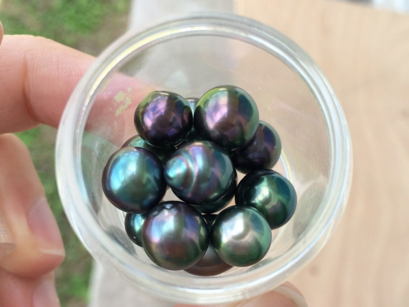 Discover the meaning of Tahitian Pearls