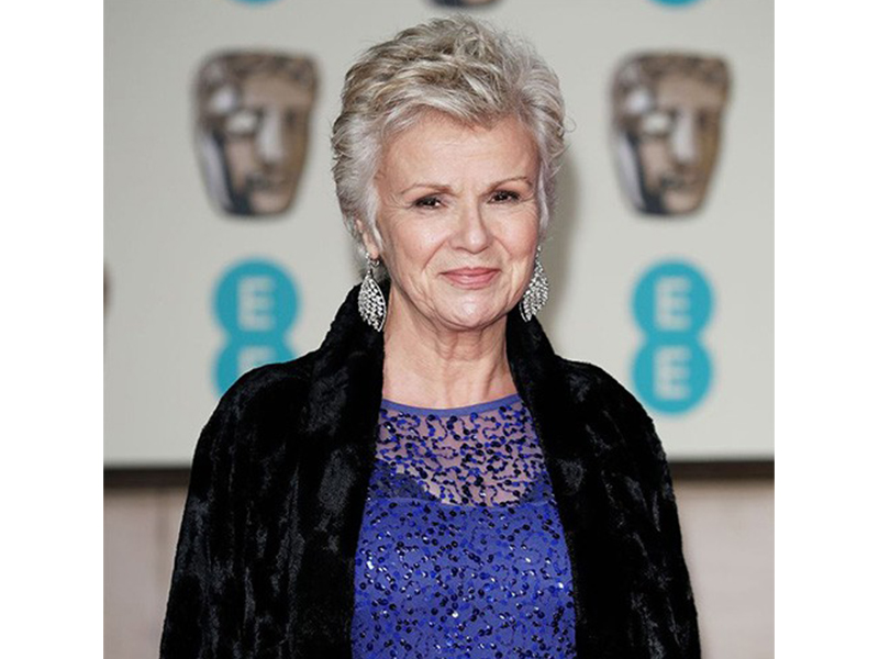 Star Diamond Julie Walters wore leaf diamonds earrings.