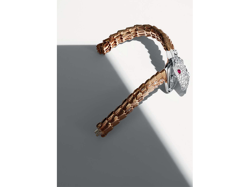 Bvlgari High Jewellery Serpenti 40mm. White gold head and rose gold tail. Set with two rubies (0.5 ct) and 3.92 carats of marquise and brilliant cut diamonds. Quartz movement.