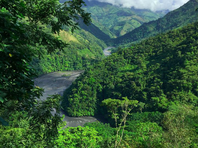 Colombian landscape