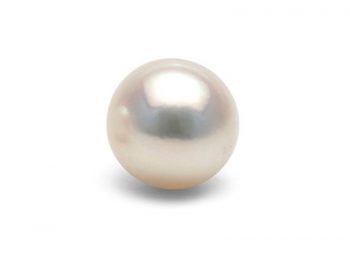 Perle blanche d'Akoya