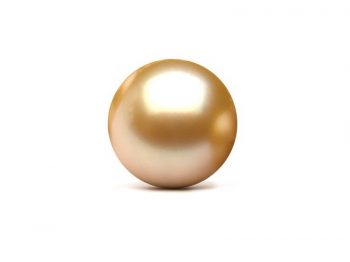 South Sea Pearl